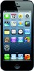 Apple iPhone 5 16GB - Ростов-на-Дону